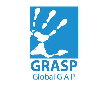 gapgrasp